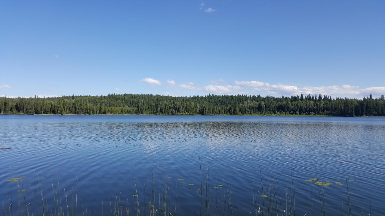 Wettstone Guest Ranch Bed and Breakfast Bridge Lake Exteriör bild