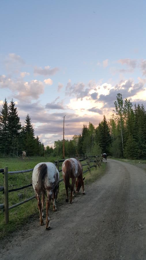 Wettstone Guest Ranch Bed and Breakfast Bridge Lake Exteriör bild