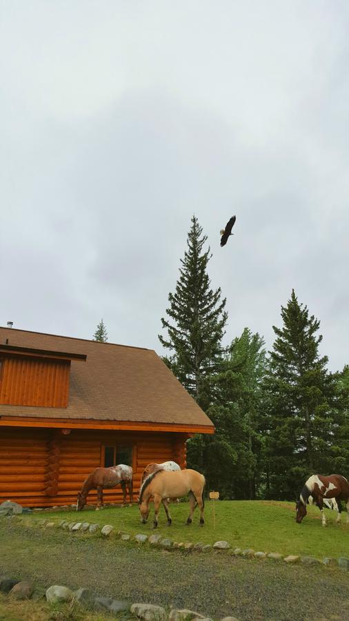 Wettstone Guest Ranch Bed and Breakfast Bridge Lake Exteriör bild
