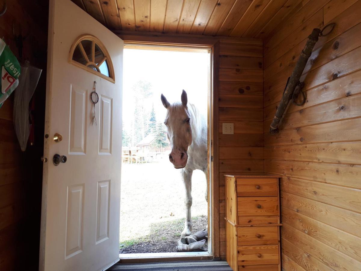 Wettstone Guest Ranch Bed and Breakfast Bridge Lake Exteriör bild