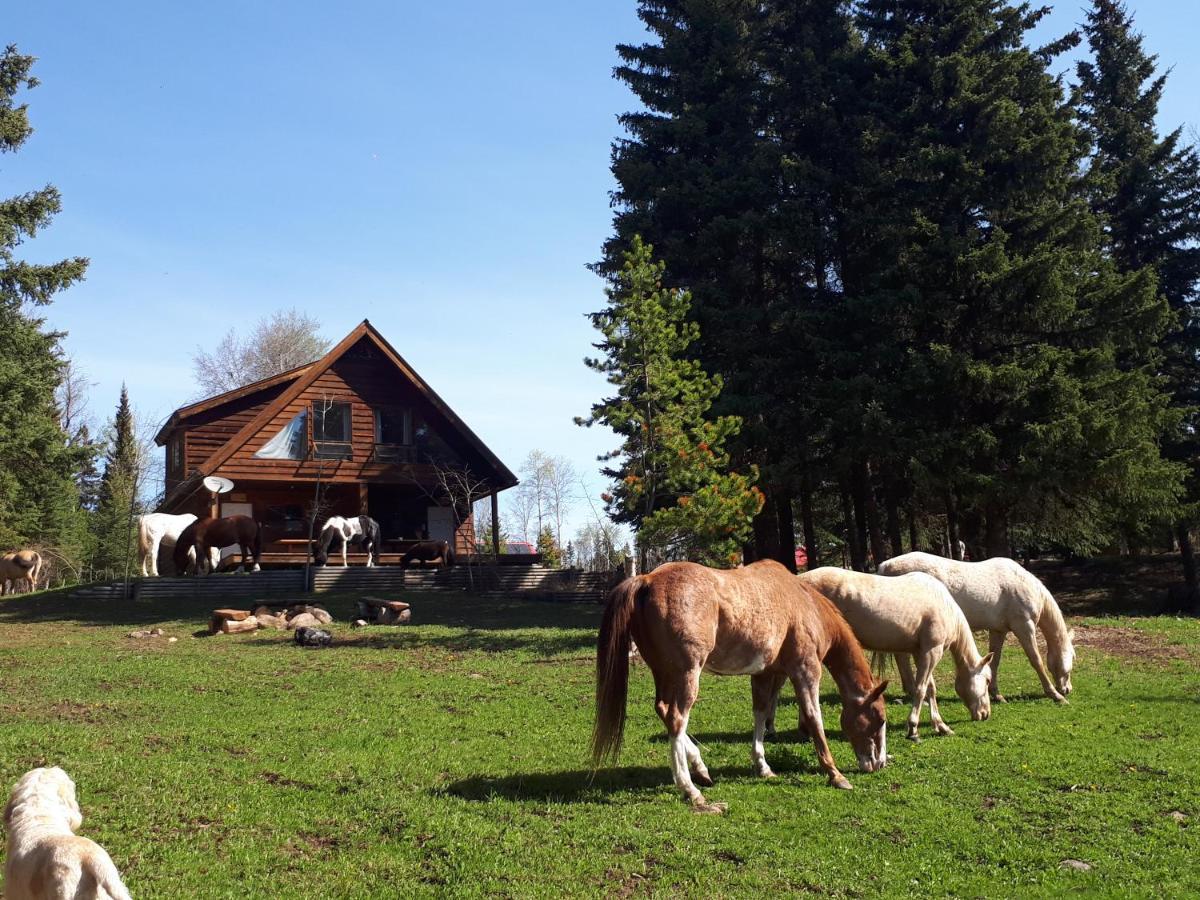 Wettstone Guest Ranch Bed and Breakfast Bridge Lake Exteriör bild