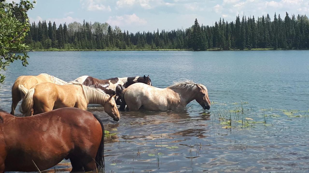 Wettstone Guest Ranch Bed and Breakfast Bridge Lake Exteriör bild